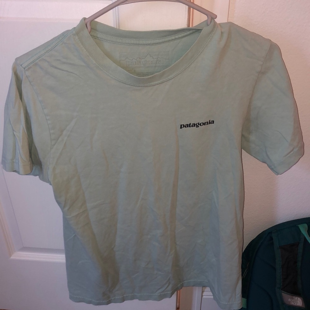Patagonia shirt